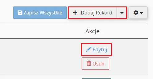 Kliknij przycisk: Dodaj rekord lub Edytuj przy wybranym rekordzie subdomeny.