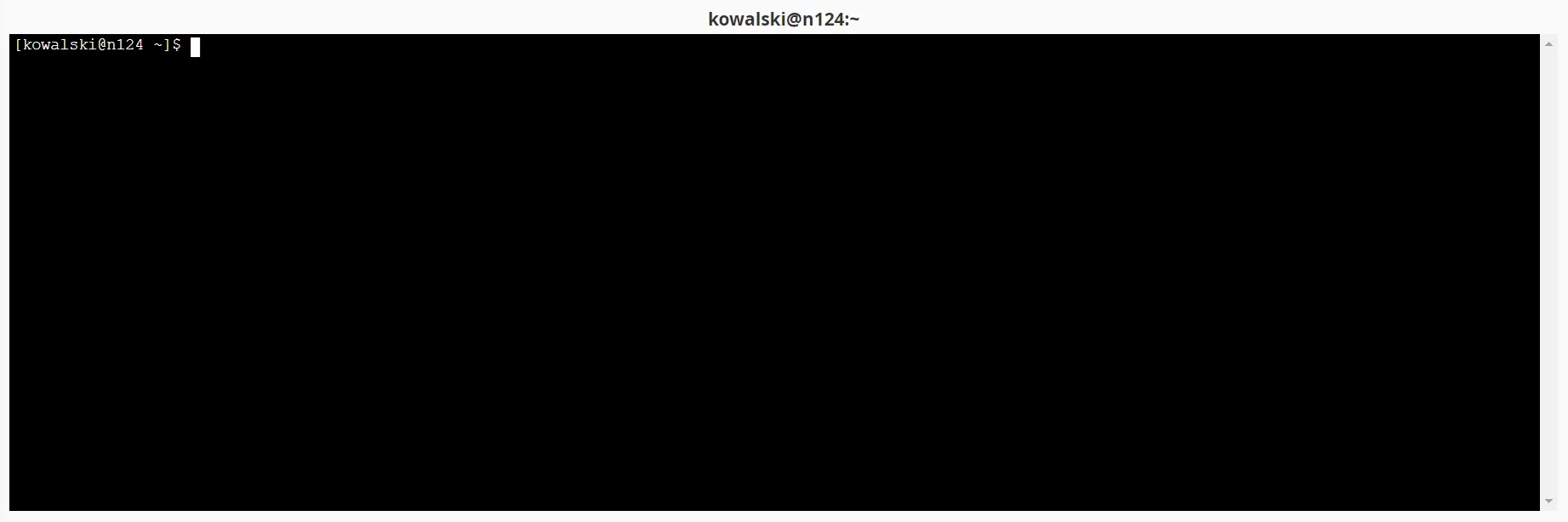 Po połączeniu z serwerem przez SSH za pomocą cPanel, okno terminala z wierszem poleceń w przeglądarce wygląda następująco. Przykład otwartego połączenia SSH w terminalu dostępnym w cPanel.
