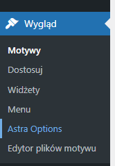 Opcje motywu Astra dla WordPress