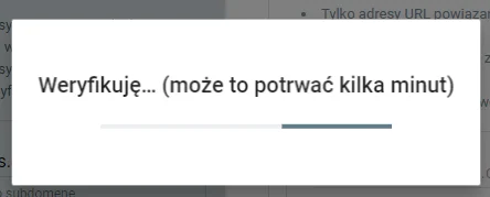 Po kliknięciu przycisku weryfikacji odczekaj aż system sprawdzi domenę Trwający proces weryfikacji domeny
