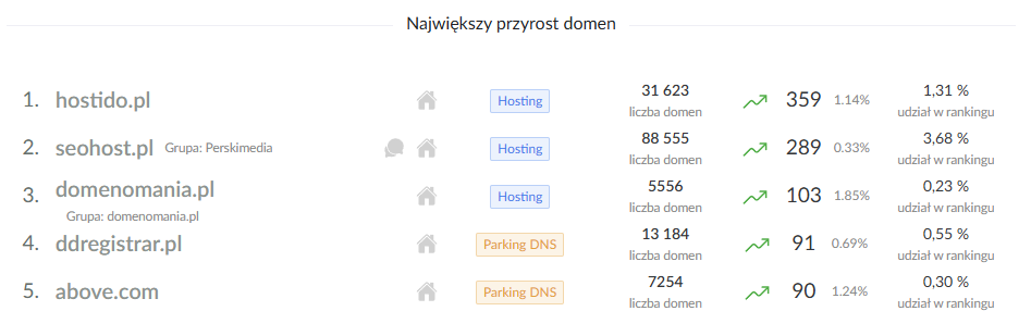 Domenomania.pl w czołówce polskich firm hostingowych