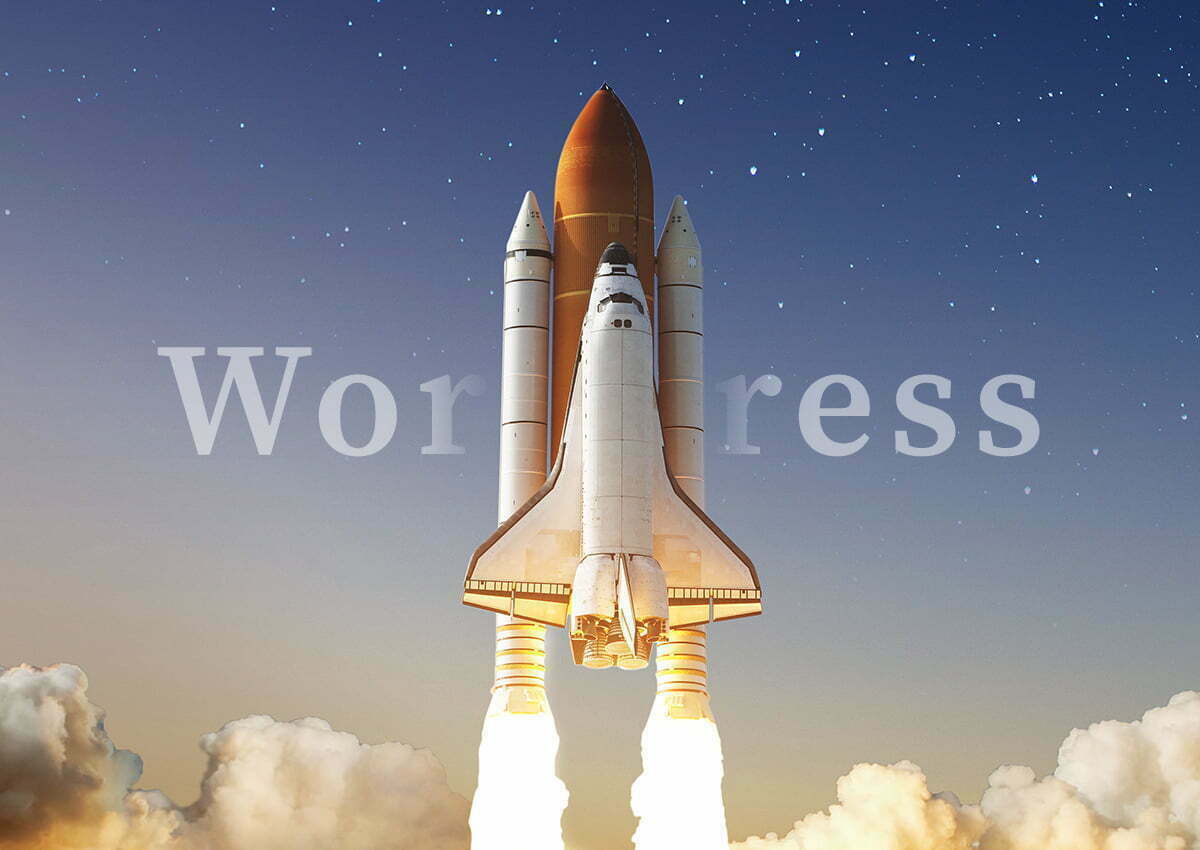 Specjalnie przygotowany hosting dla stron WordPress gwarantujący wydajne działanie